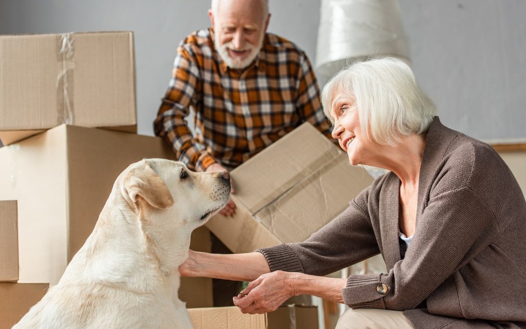 What to Do with Your Pets During a Move to Bend