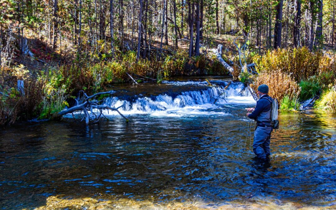 A man fly fishing on a river in the woods near Bend, Oregon.