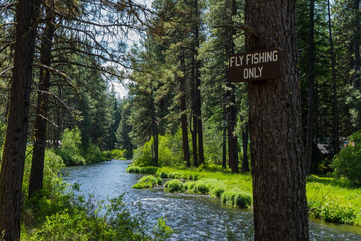Bend, Oregon's Metolius River winding through the forest with a "fly fishing" sign attached to a tree in the foreground. 